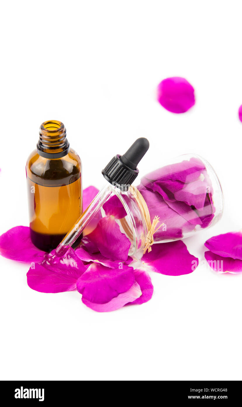 Rose hip( Rosa rugosa, plage rose, rose pétale japonais) huile concept. Flacon compte-gouttes brun avec des pétales de rose musquée rose foncé et en verre clair j Banque D'Images