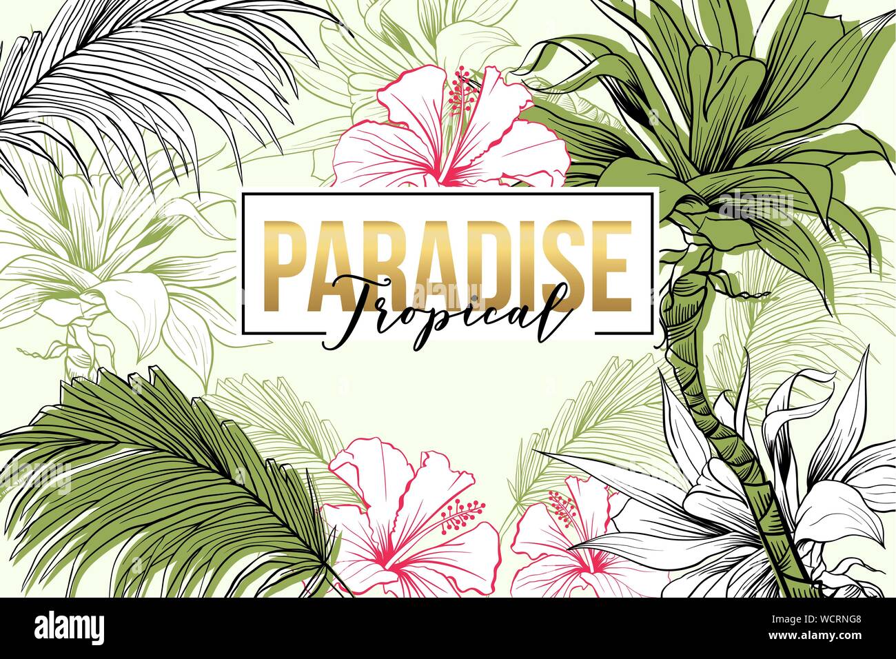 Tropical paradise caricature vecteur bannière modèle. Summer resort, agence de tourisme promo poster mise en page. La flore de la forêt tropicale, feuilles de palmier et d'hibiscus illustration dessiné à la main avec lettrage Illustration de Vecteur Tropical paradise caricature vecteur bannière modèle. Summer resort, agence de tourisme promo poster mise en page. La flore de la forêt tropicale, feuilles de palmier et d'hibiscus illustration dessiné à la main avec lettrage Illustration de Vecteur