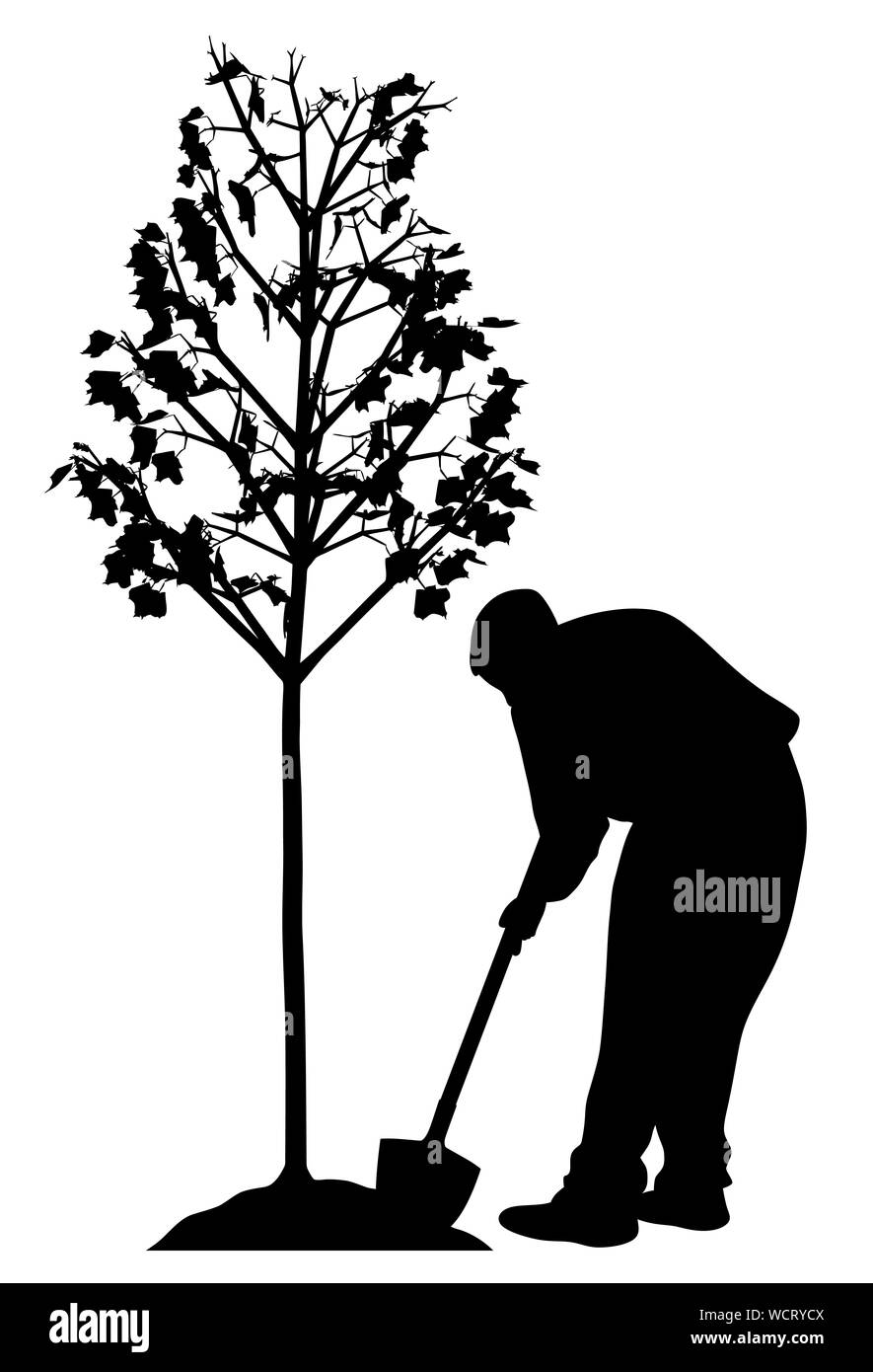 Jeune homme plantant un arbre Banque D'Images