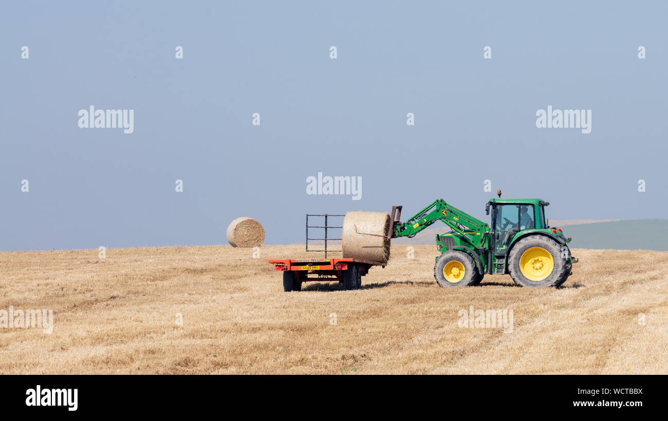 Près de Devils Dyke, Brighton, Royaume-Uni ; 26 août 2019 ; Farmer dans un tracteur en mouvement des balles de foin sur une remorque à fond plat pour le transport sur une journée brumeuse lumineux Banque D'Images