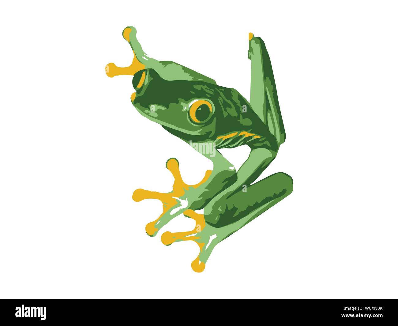 Red Eye Tree Frog Vector Illustration de Vecteur