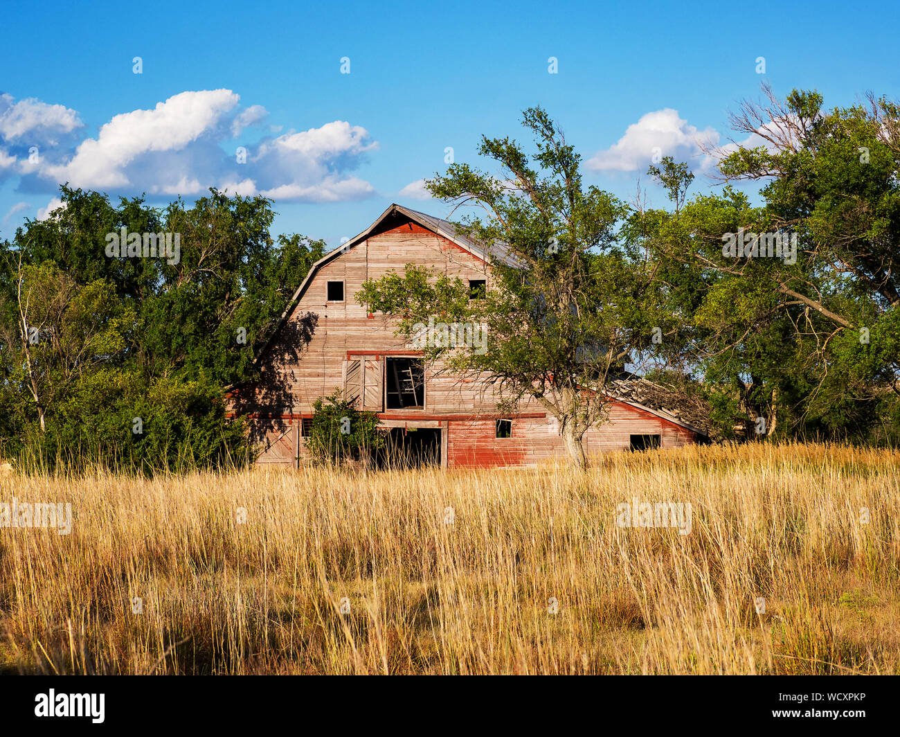 Kansas grange rouge dans un champ avec un ciel bleu et nuages Banque D'Images