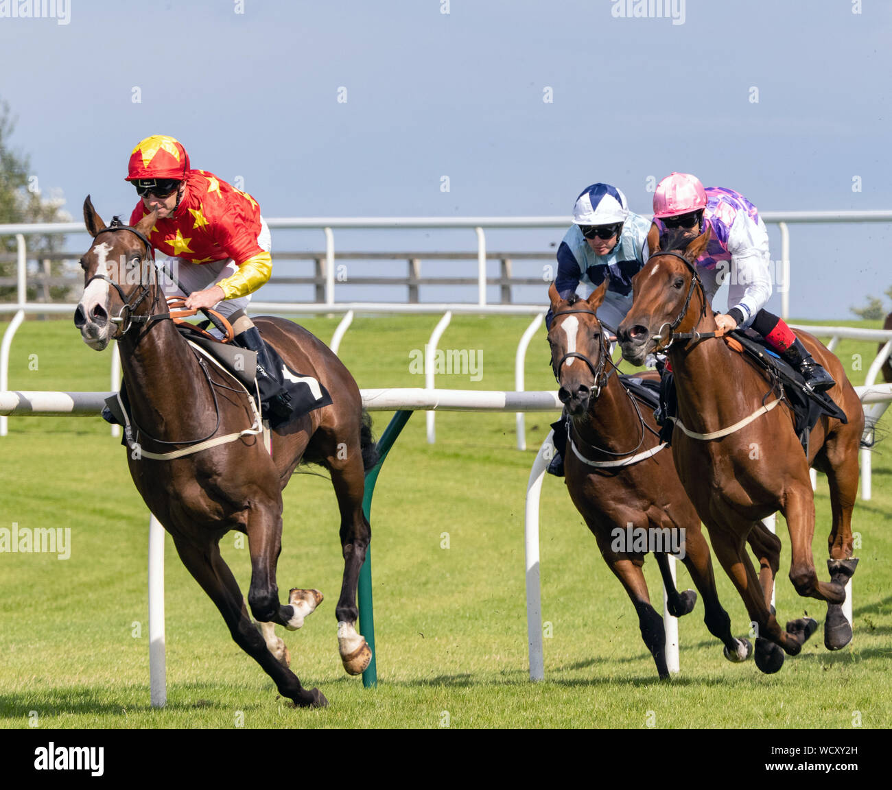 Jockey Joe Fanning (top rouge/jaune étoile) sur Cognac, gagnant, l'anglais Duncan Bibby britannique goujons étalon Facteurs EBF Maiden Stakes, Musselburgh 28/8/19 Banque D'Images