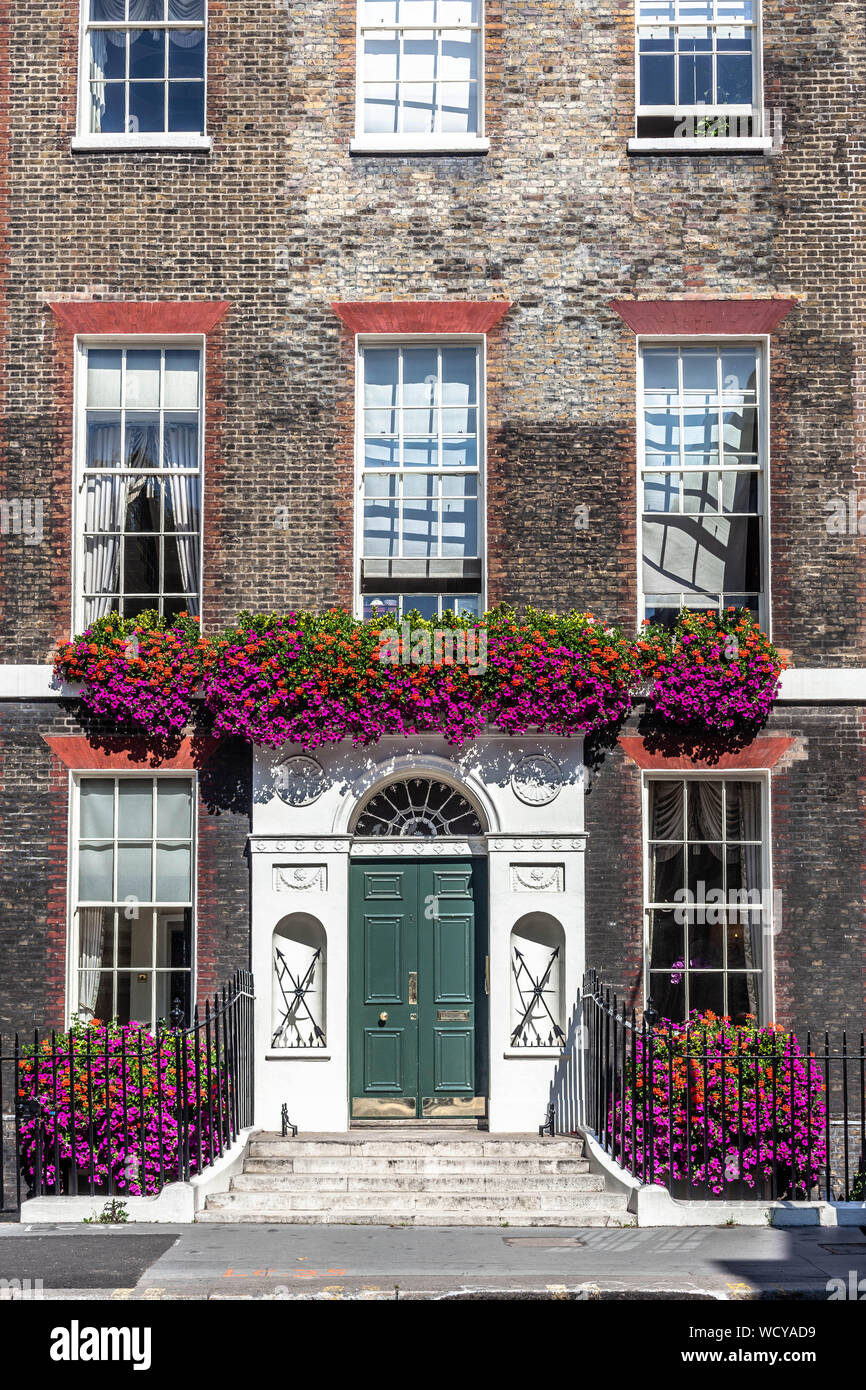 Une maison mitoyenne Géorgienne décorée de fleurs naturelles, Gower Street, Bloomsbury, Central London WC1, Angleterre, Royaume-Uni. Banque D'Images