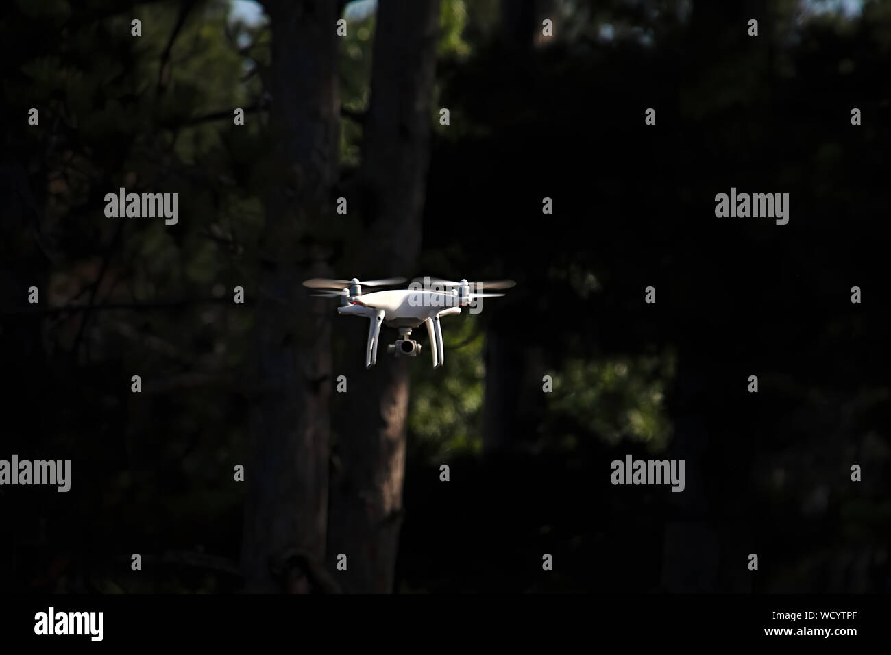 Drone vol de nuit dans les arbres avec l'appareil photo Banque D'Images