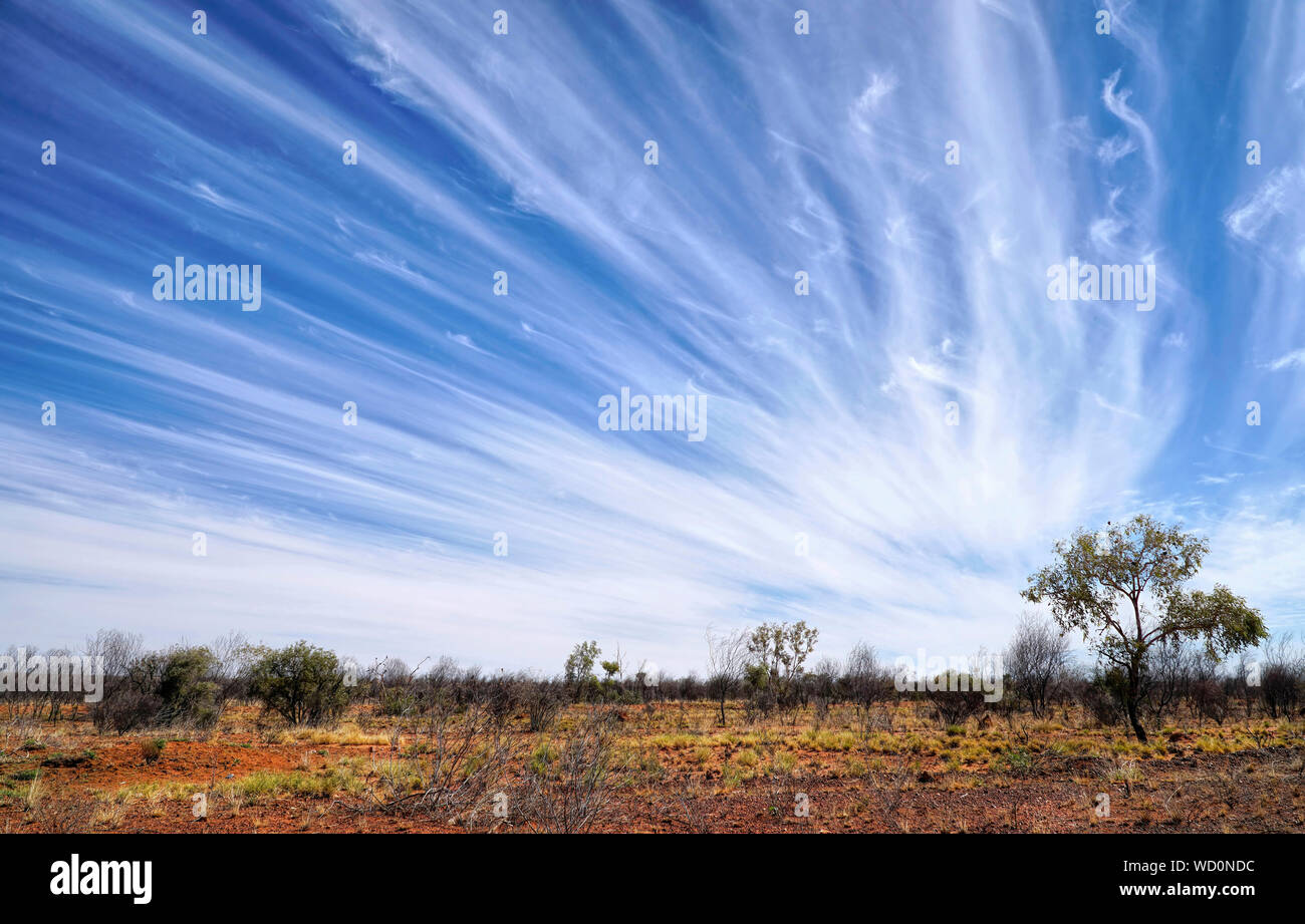 Un paysage aride sec dans le Nord de l'Australie. Banque D'Images