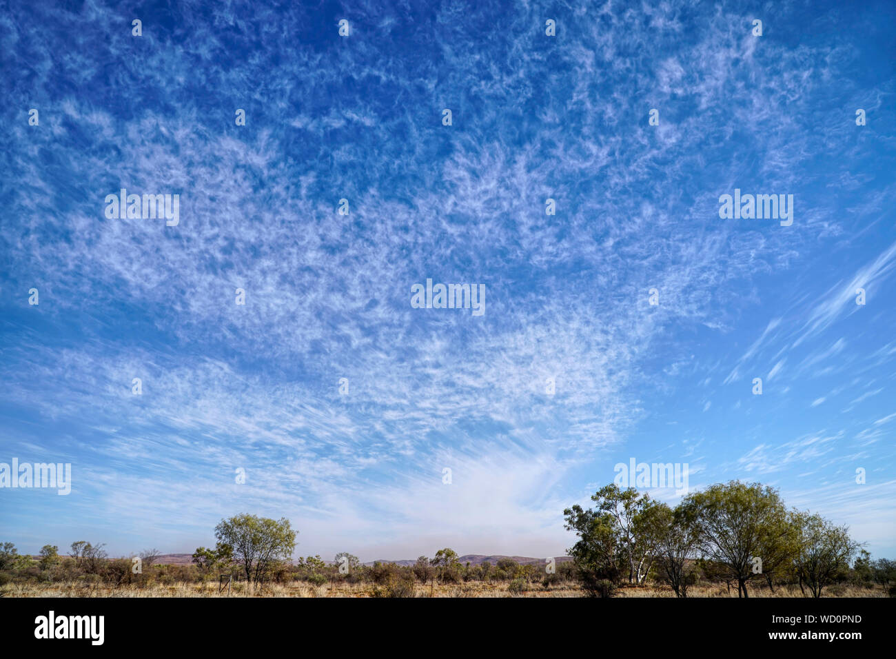 Paysage aride sec dans le Nord de l'Australie par un jour de vent avec des nuages de poussière à l'arrière-plan Banque D'Images
