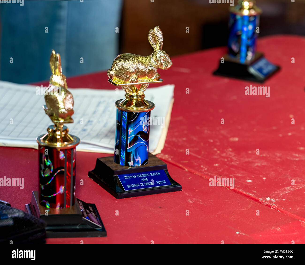 Dundas, Prince Edward Island / Canada - Août 25, 2019 : Trophée pour le show lapin étant jugé au PEI de labour et foire agricole. Banque D'Images