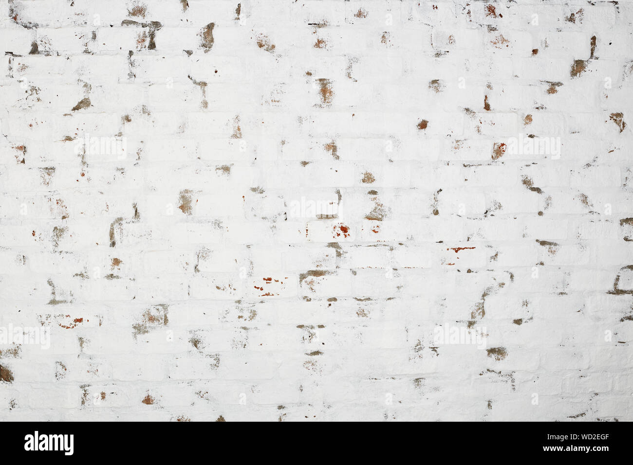 Full Frame Shot de mur blanc Banque D'Images