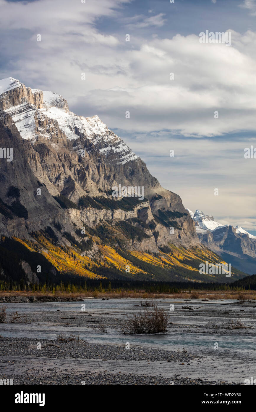 La couleur de l'automne le long de la rivière Saskatchewan Nord, Banff National Park, Alberta, Canada Banque D'Images