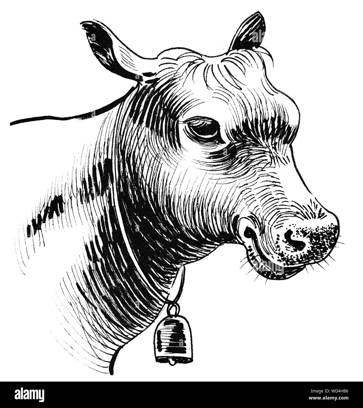 Tête de vache avec une cloche. Illustration noir et blanc Encre Banque D'Images