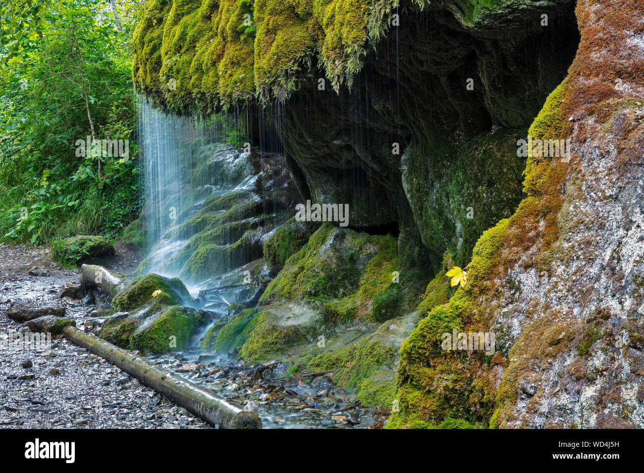 Couverts de mousse gorge Wutachschlucht cascade, Forêt-Noire, Bade-Wurtemberg, Allemagne, Banque D'Images