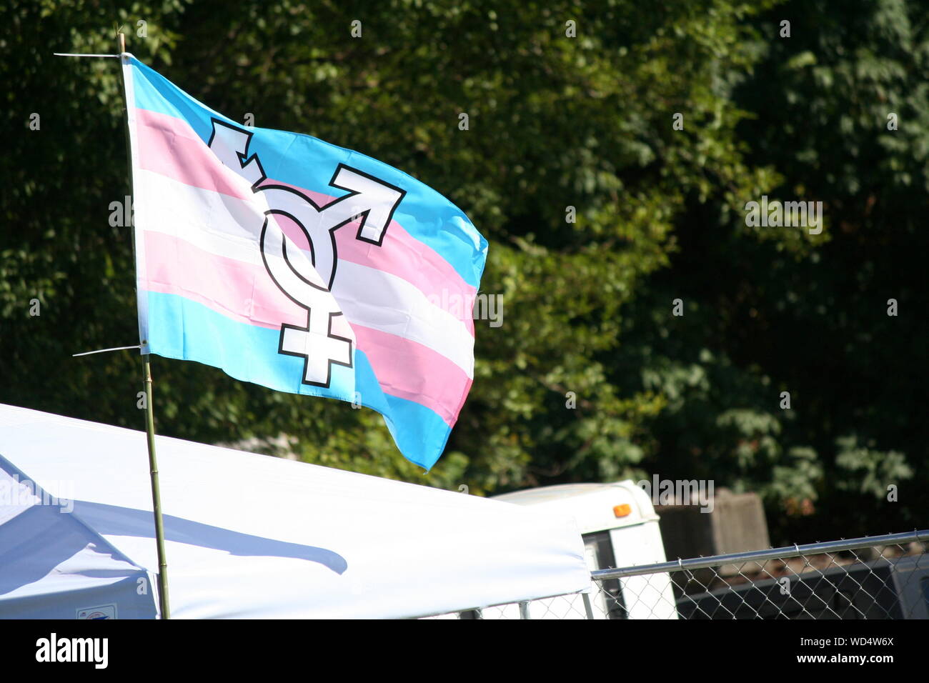 De brandir le drapeau des transgenres contre des arbres Banque D'Images