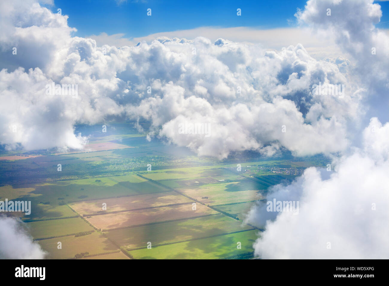L'herbe verte des champs, forêts, ciel bleu et blanc moelleux Cumulus nuages de fond vue panoramique vue aérienne, journée ensoleillée nature paysage Vue de dessus Banque D'Images