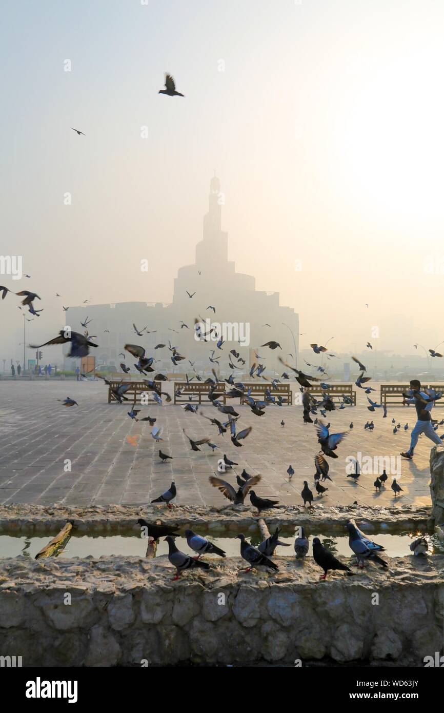 Les oiseaux contre la culture islamique Qatar Silhouette Center pendant le coucher du soleil Banque D'Images