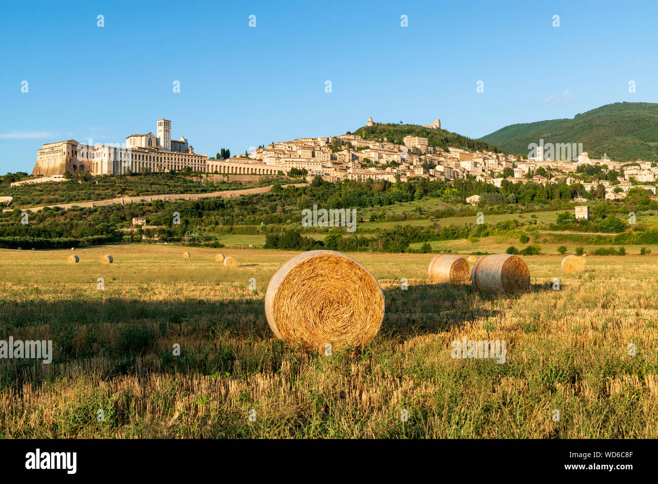 Belle vue sur la vieille ville d'Assise, l'été Banque D'Images