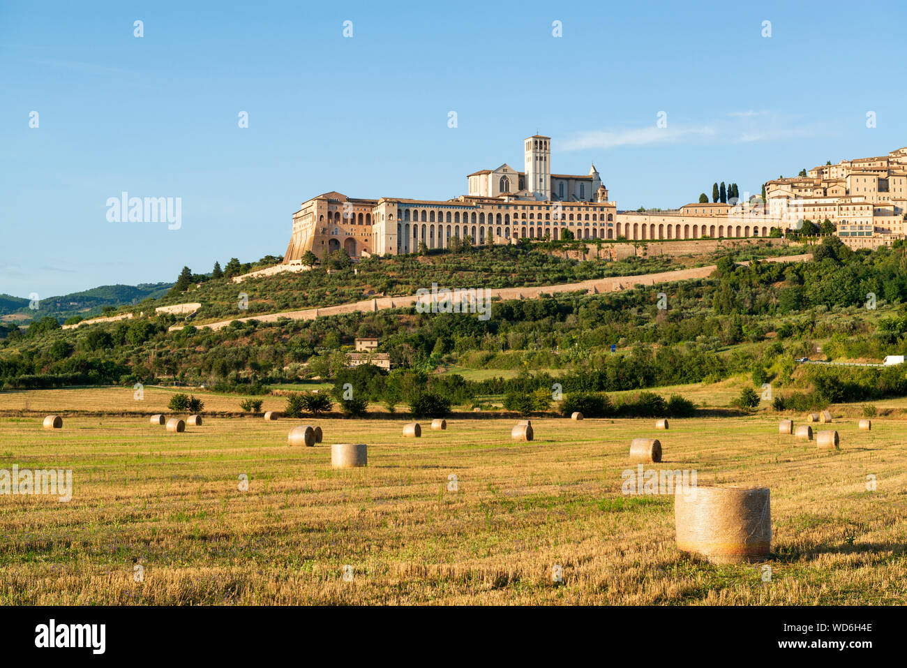 Soir vue sur Basilique de Saint François d'assise et de la vieille ville fortifiée Banque D'Images