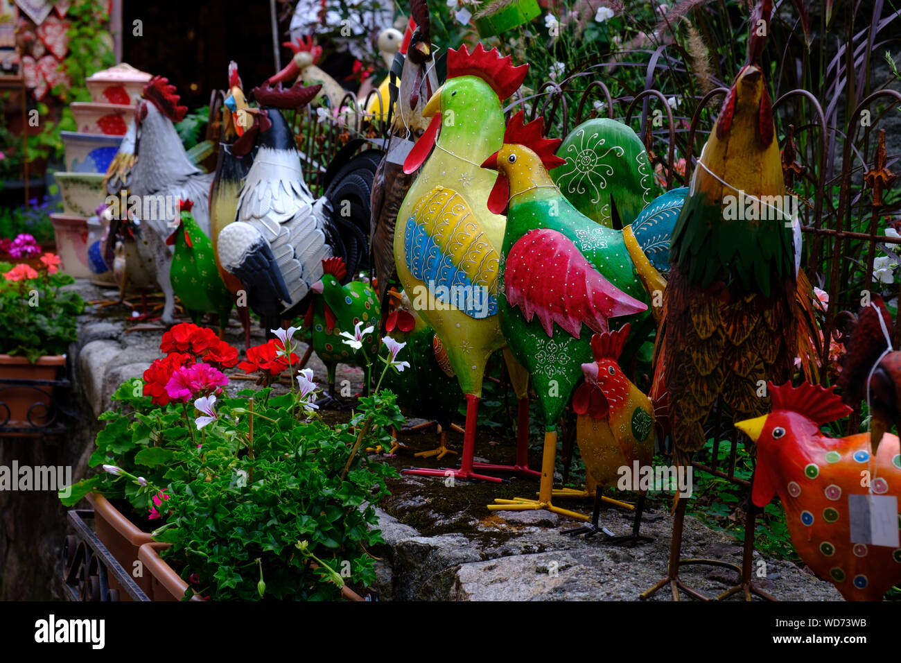Poulets de Kayserberg Banque D'Images