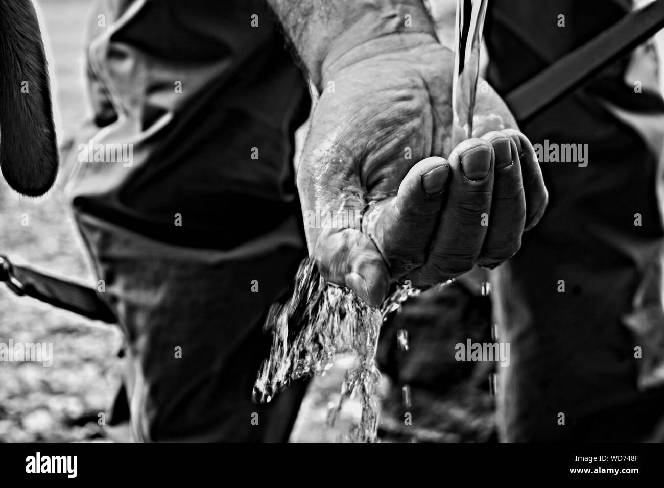 La main de l'eau capture/ mains attraper la chute de l'eau propre Banque D'Images