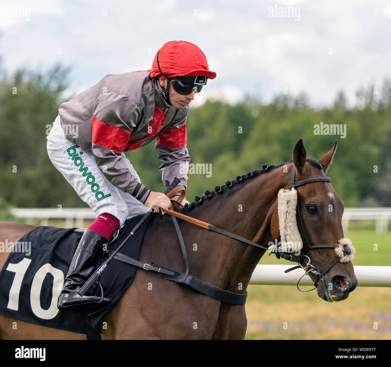 Jockey Andrew Mullen sur mettre la Loi sur vous avant le début de l'Witherbys "handicap", Musselburgh Racecourse, 28 août 2019 Banque D'Images