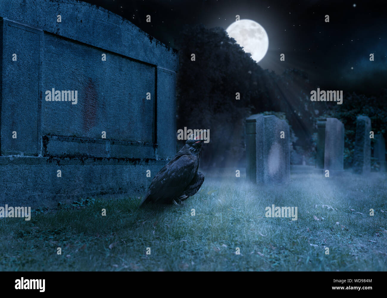 Crow se trouve sur un cimetière en face d'une pierre tombale Banque D'Images Crow se trouve sur un cimetière en face d'une pierre tombale Banque D'Images