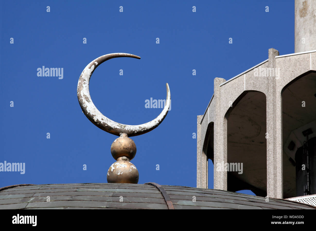 Un croissant de lune au-dessus de la coupole de la mosquée centrale de Londres, Regent's Park, Londres. Banque D'Images