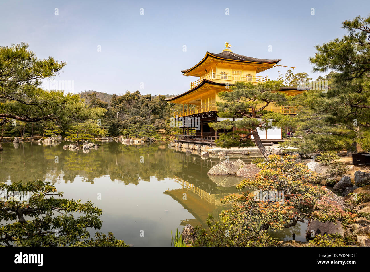 Le Kinkaku-ji, le pavillon d'or, Kyoto, Japon. Banque D'Images