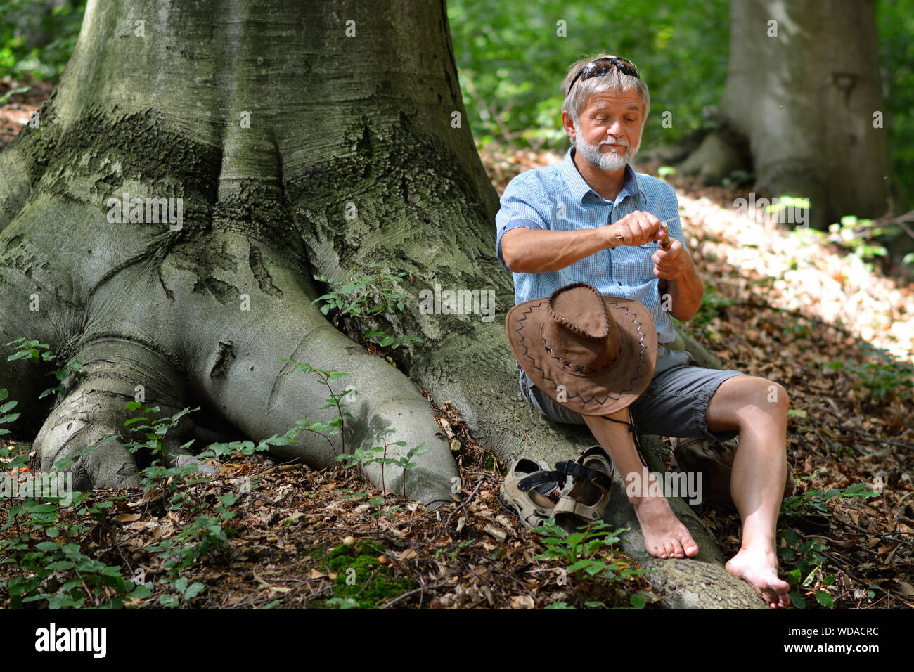 Man sculpte sur racine géant Banque D'Images