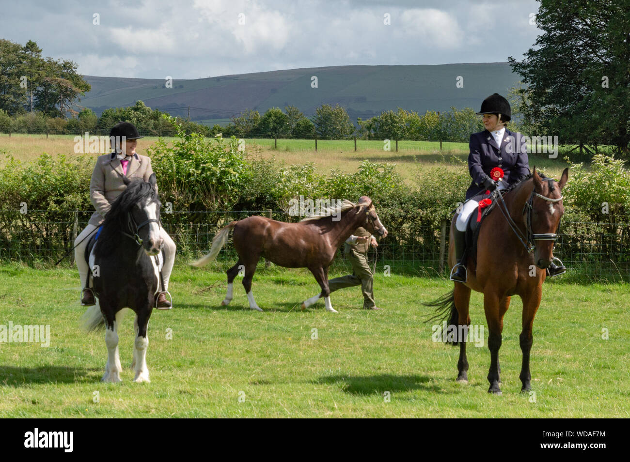 Classe poney, Llanwrtyd Wells, Powys 2019 Show Village, Pays de Galles. L'équitation. Banque D'Images