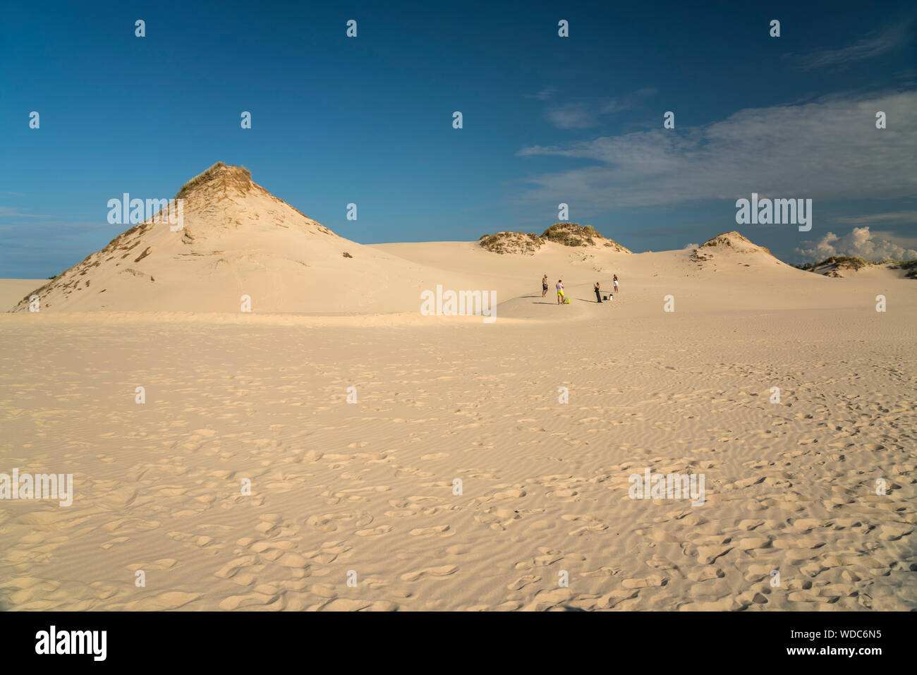 Wanderdünen Slowinzischer sable, Nationalpark, Pommern, Polen, Europa | Déménagement dunes de sable, le Parc National Slowinski, Poméranie, Pologne, Europe Banque D'Images