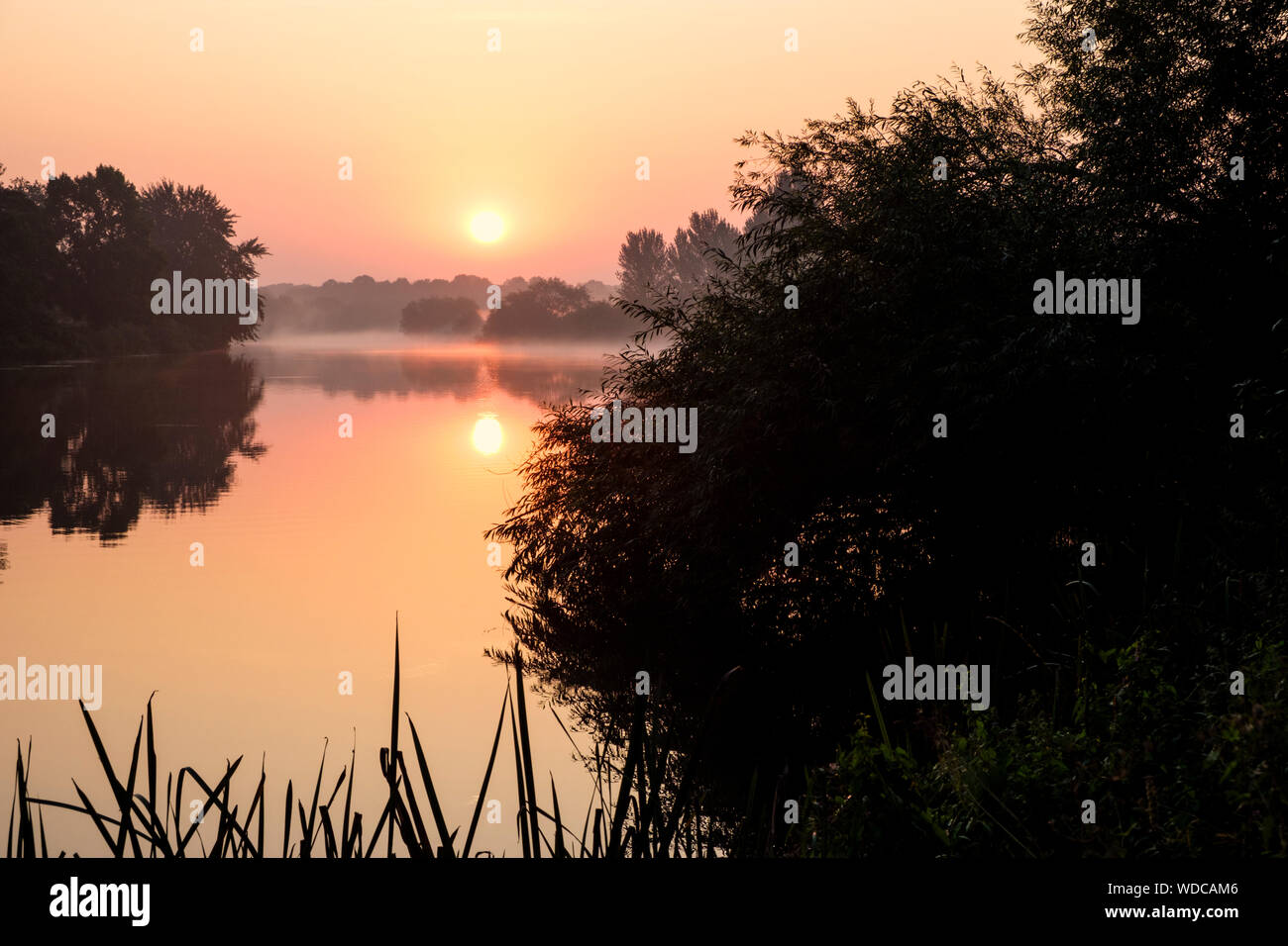 L'aube en été. Lever du soleil sur la rivière Trent, arbres et campagne, Dorset, England, UK Banque D'Images