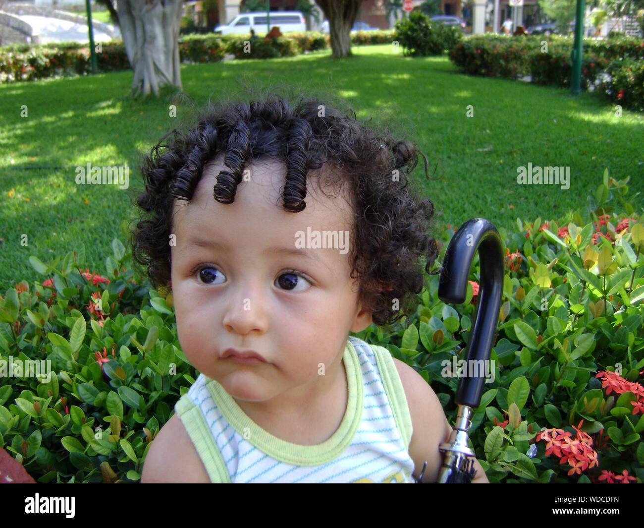 Mignon Bebe Garcon Aux Cheveux Boucles Holding Umbrella At Park Photo Stock Alamy Mignon Bebe Garcon Aux Cheveux Boucles Holding Umbrella At Park Photo Stock Alamy