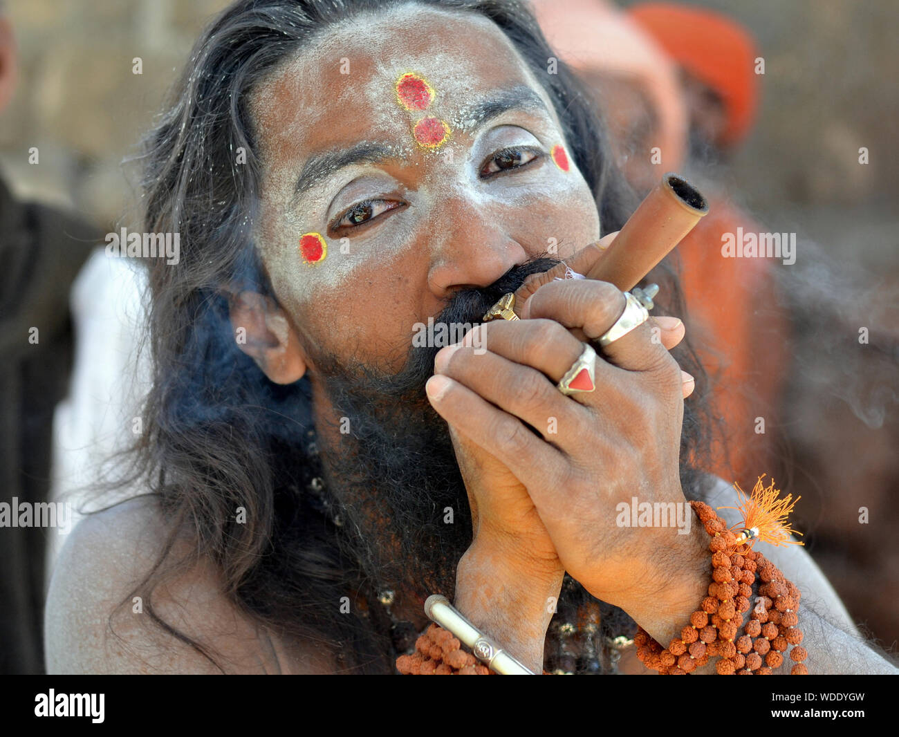 Le haschisch-fumeurs Indian Hindu sadhu avec blanc frêne sacré (vibhuti) et plusieurs marques de tilaka rouge sur son visage pose avec son chillum pipe. Banque D'Images