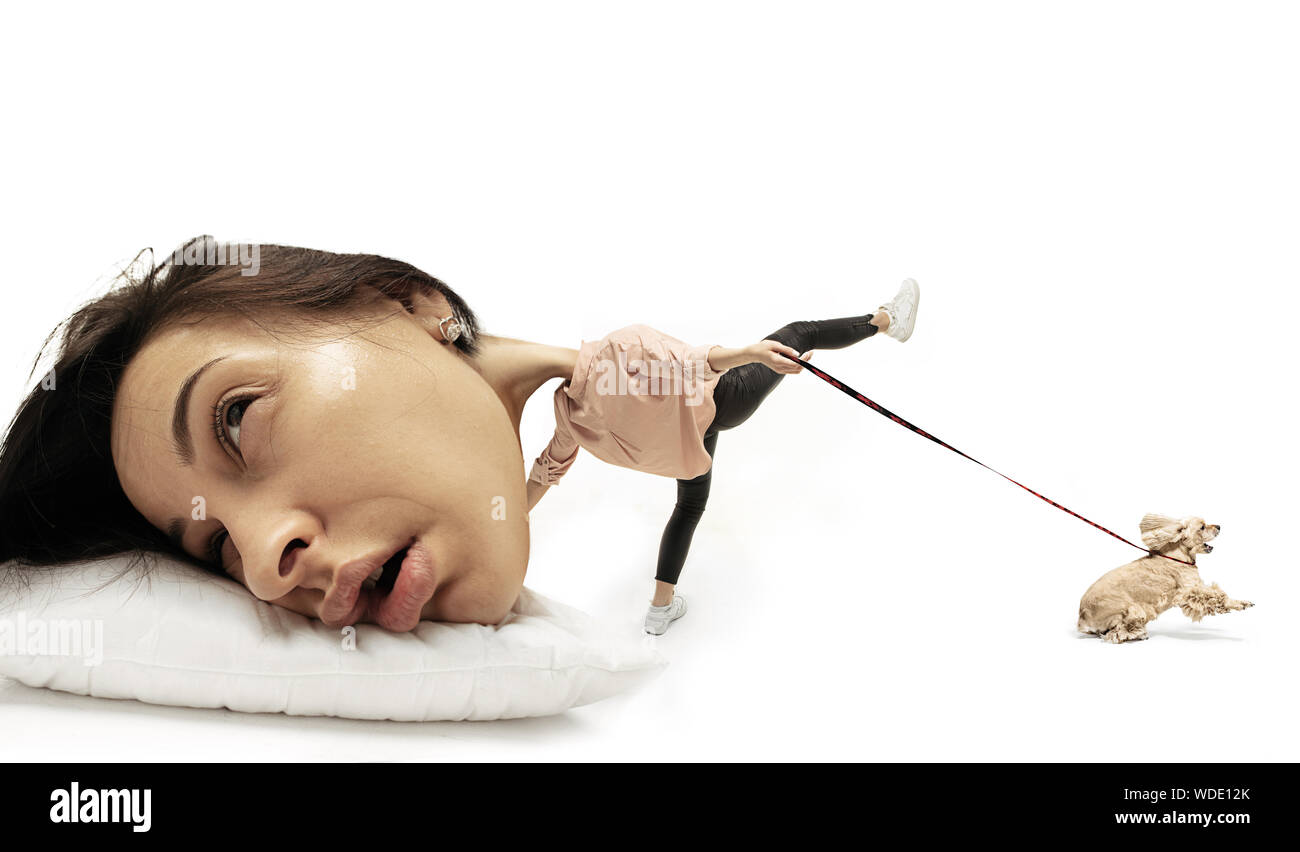 Laissez-moi dormir 5 minutes de plus. Grosse tête sur les petits corps étendu sur l'oreiller. Femme ne peut pas réveiller et de marcher le chien 'cause a des maux de tête et pas réveillé. Concept d'affaires, travailler, se dépêchant vers le haut, des limites de temps. Banque D'Images
