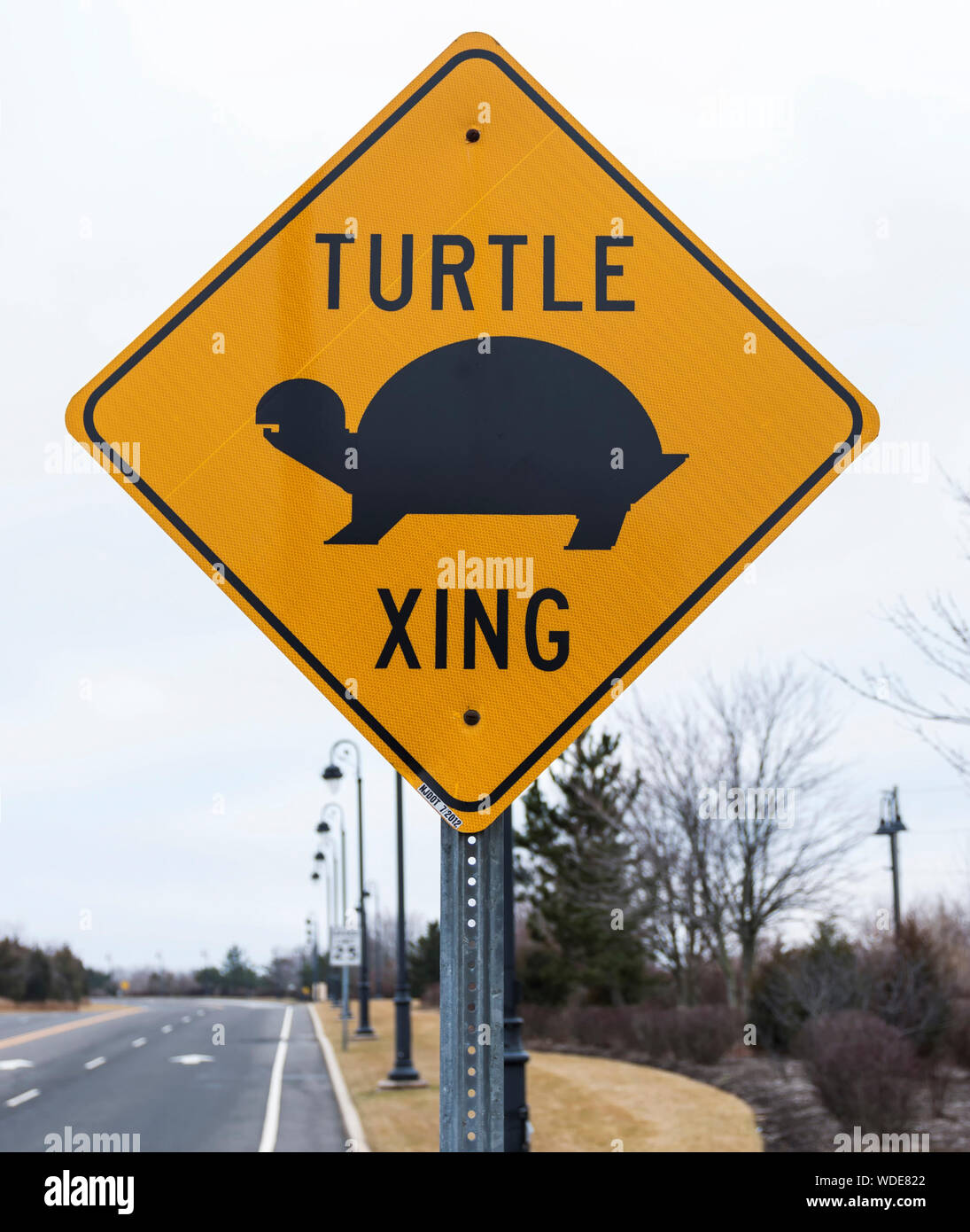Une tortue jaune panneau de passage à niveau est affiché sur le côté de la route les voitures d'avertissement du danger. Banque D'Images