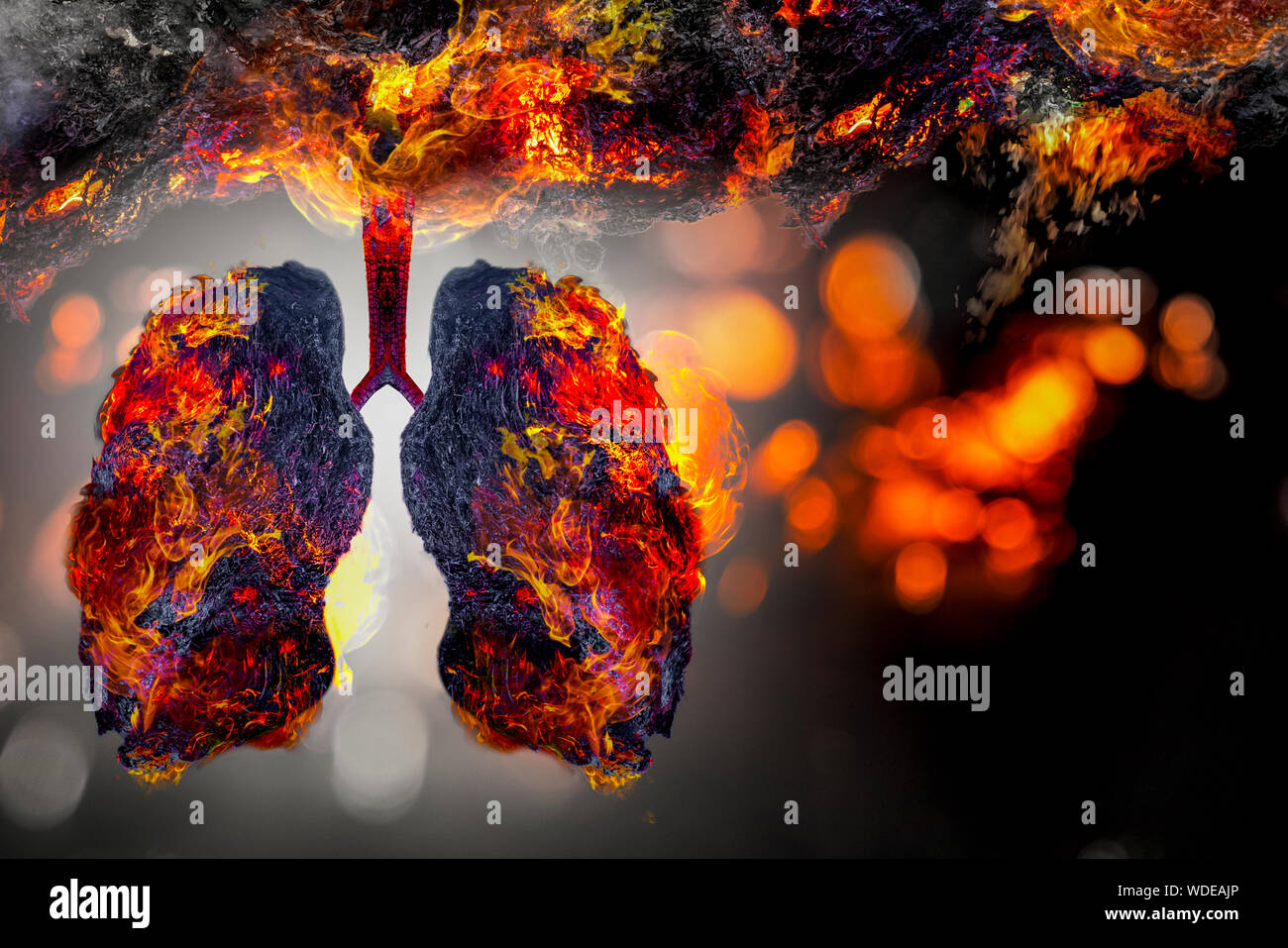 L'arbre vert en forme de poumon-images, des concepts médicaux, l'autopsie, affichage 3D et les animaux comme un élément Banque D'Images
