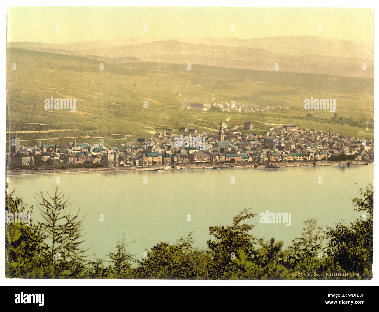 Vue générale, Rüdesheim, le Rhin, Allemagne Banque D'Images