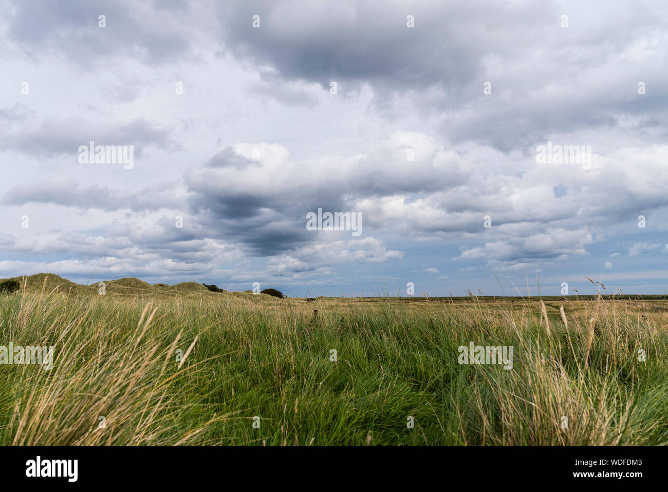 Lidisfarne, Holy Island, des dunes et un ciel nuageux. Banque D'Images