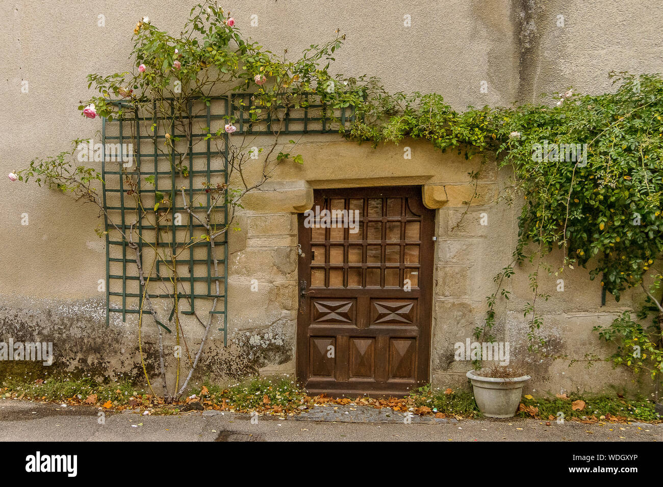 Porte en bois avec usine à Rochefort-en-Terre, Bretagne Banque D'Images