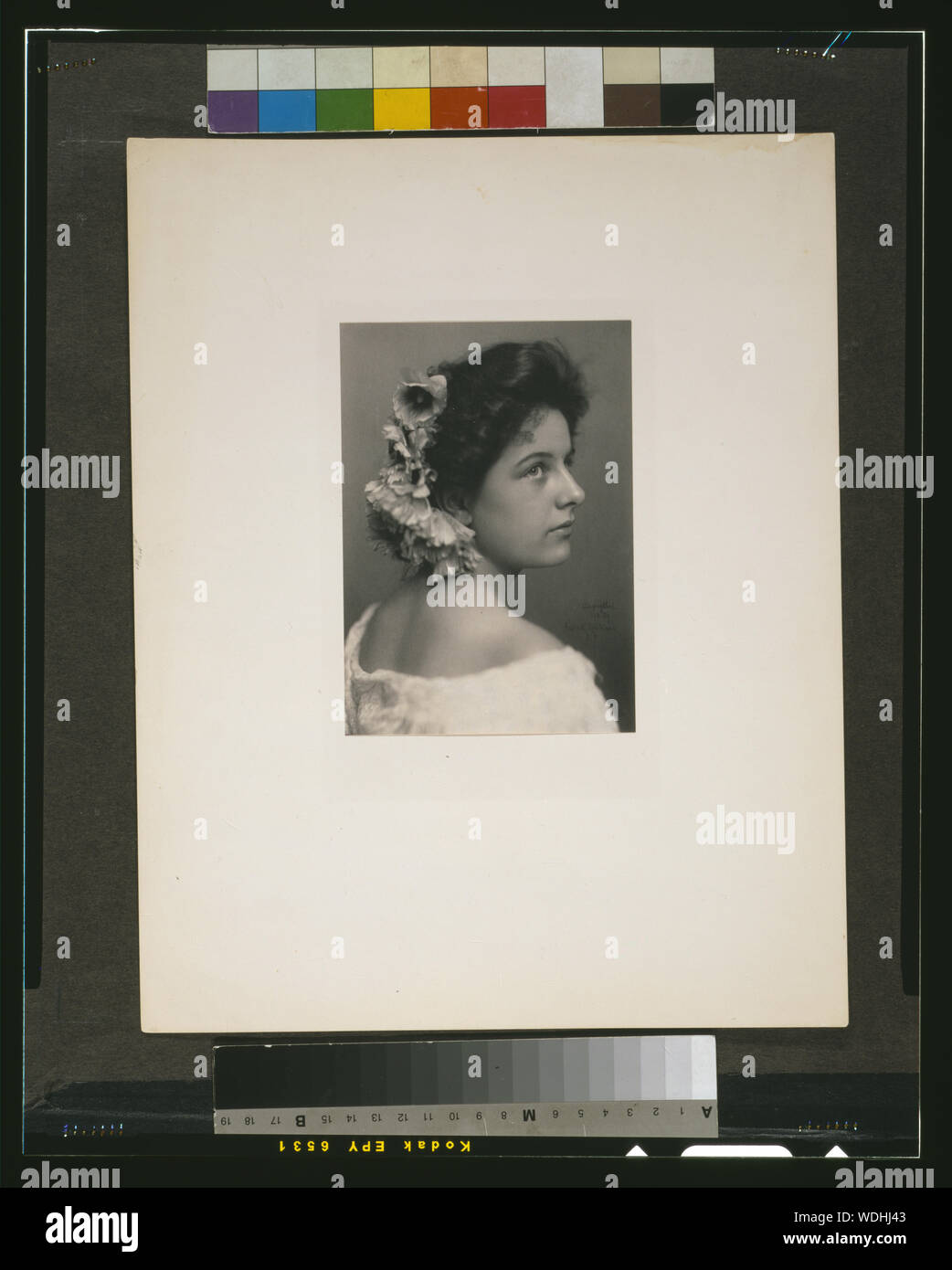 Geraldine Farrar / copyrighted 1898 par Addie K. Robinson Résumé/moyenne : 1 tirage photographique : platinum 16,4 x 11,6 cm. monté sur papier crème épais, 35,4 x 27,9 cm. Banque D'Images