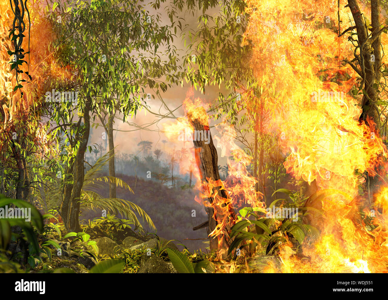 La combustion de la forêt amazonienne, en feu, hors de contrôle, l'amélioration du climat, la peinture, le rendu 3D Banque D'Images
