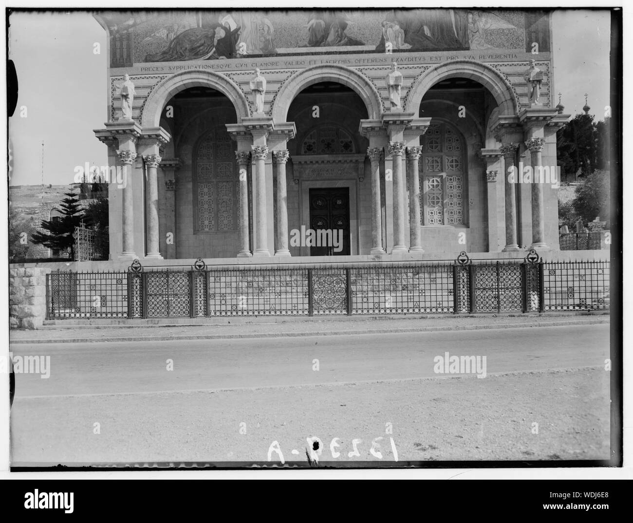 Gethsémani. Jardin de Gethsémani, à l'Église (extérieur) de toutes les nations Abstract/medium : G. Eric et Edith Matson Photograph Collection Banque D'Images