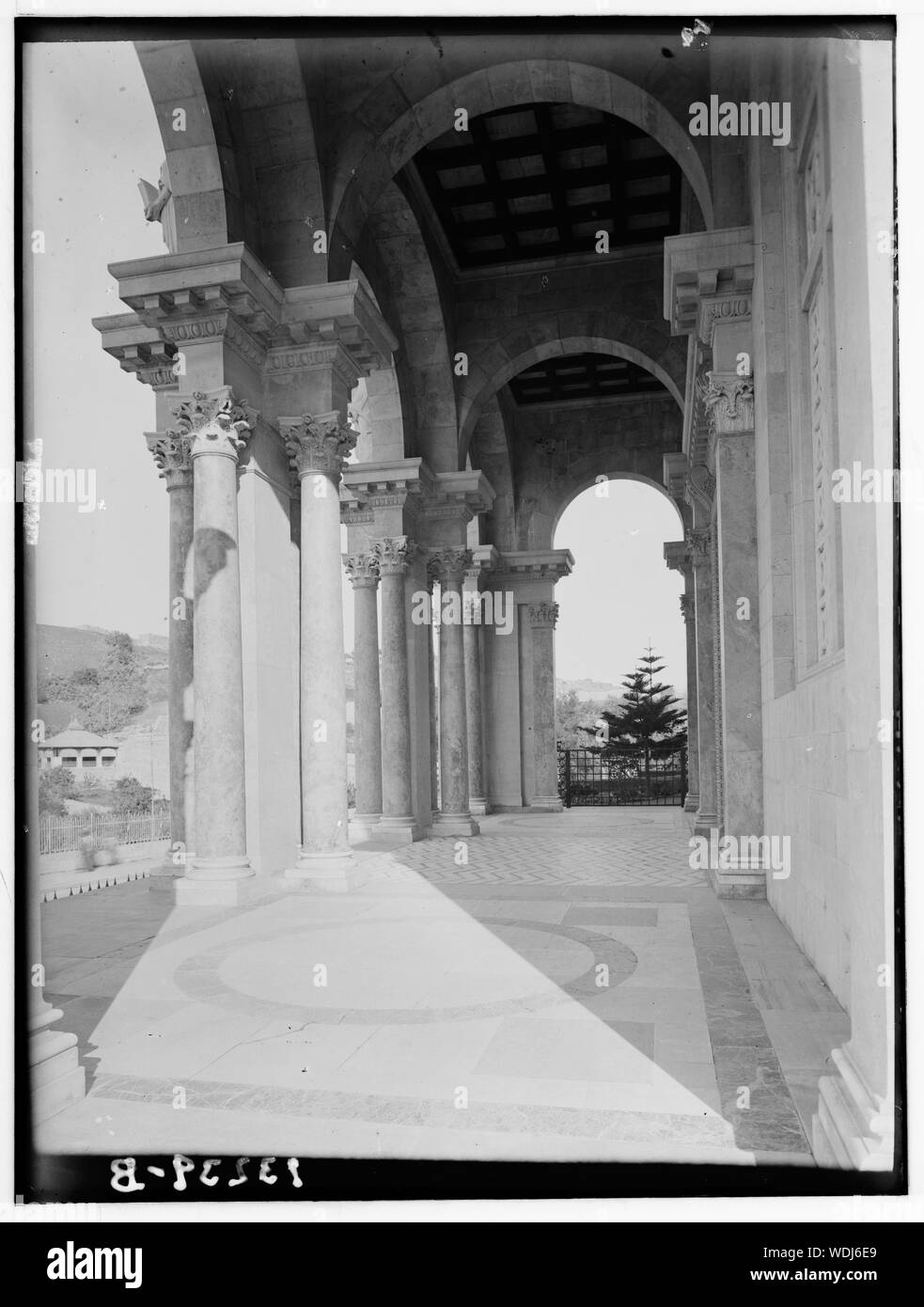 Gethsémani. Jardin de Gethsémani, à l'Église (extérieur) de toutes les nations Abstract/medium : G. Eric et Edith Matson Photograph Collection Banque D'Images