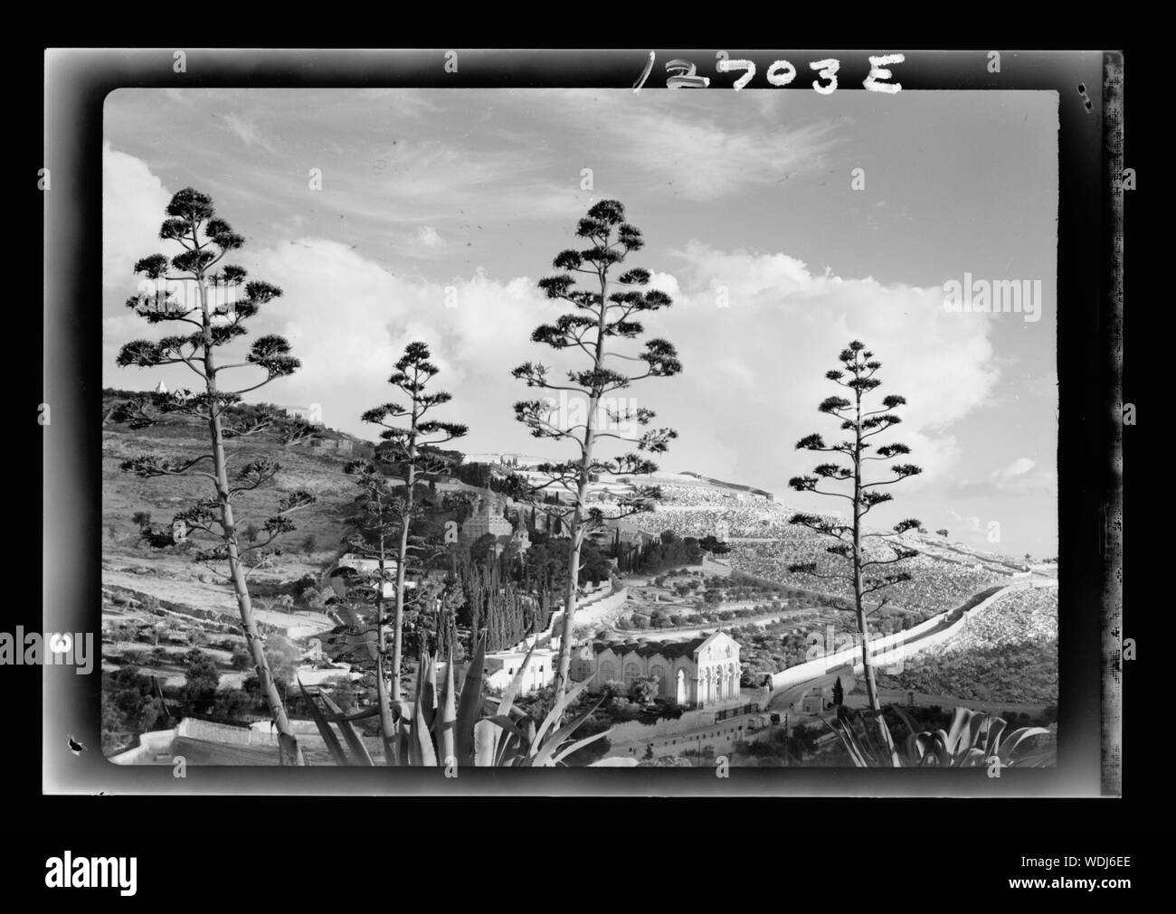 Gethsémani Abstract/medium : G. Eric et Edith Matson Photograph Collection Banque D'Images