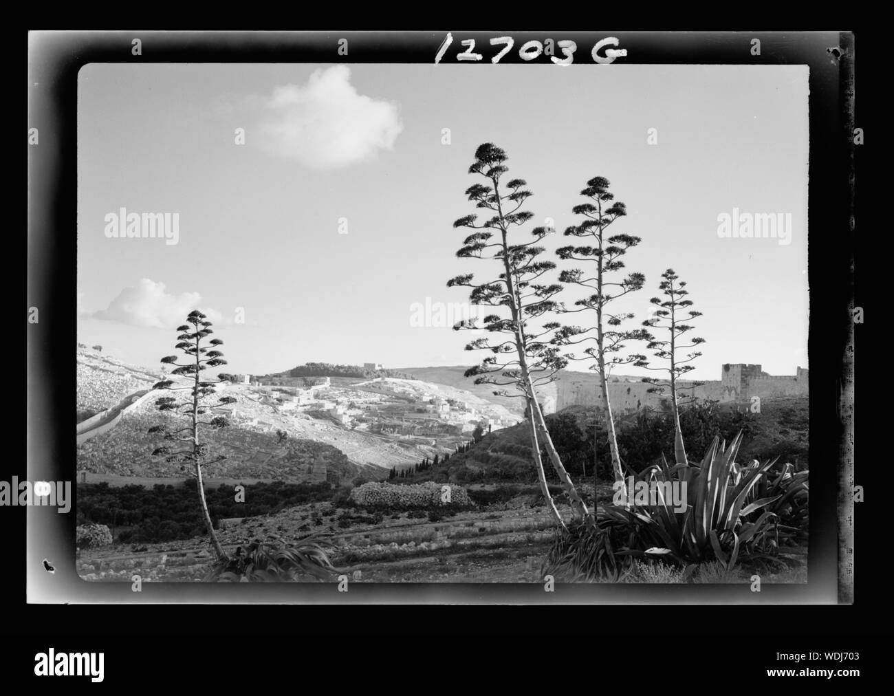 Gethsémani Abstract/medium : G. Eric et Edith Matson Photograph Collection Banque D'Images