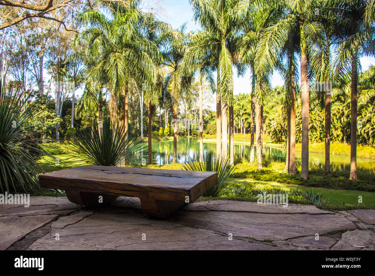 Inhotim, Institut d'Art Contemporain et le jardin botanique, Brumadinho, Minas Gerais, Brésil Banque D'Images