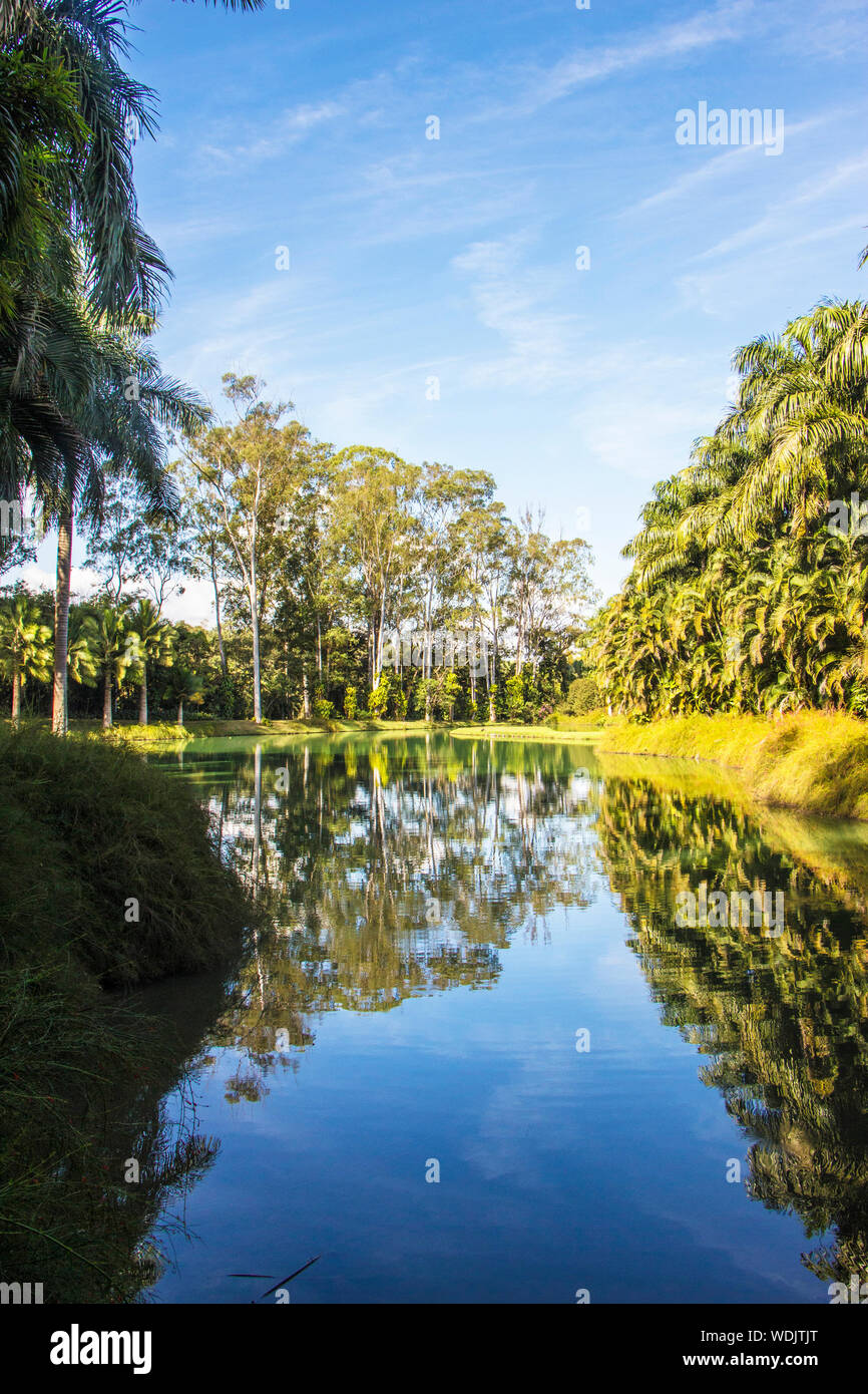 Inhotim, Institut d'Art Contemporain et le jardin botanique, Brumadinho, Minas Gerais, Brésil Banque D'Images