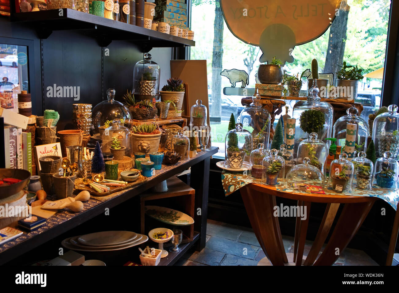 Madison, WI USA. Jul 2018. Terrariums artisanaux, des plantes, de la table, jardin plein de trucs, et des livres à l'intérieur de l'Fromagination. Banque D'Images