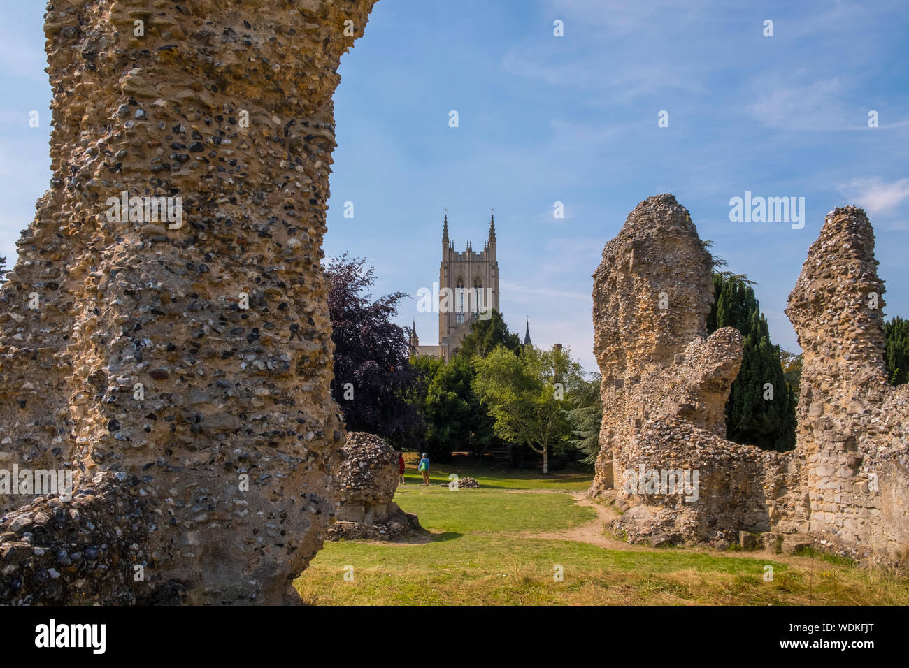 La Cathédrale de Bury St Edmunds et ruines de l'abbaye. Suffolk, UK. Banque D'Images