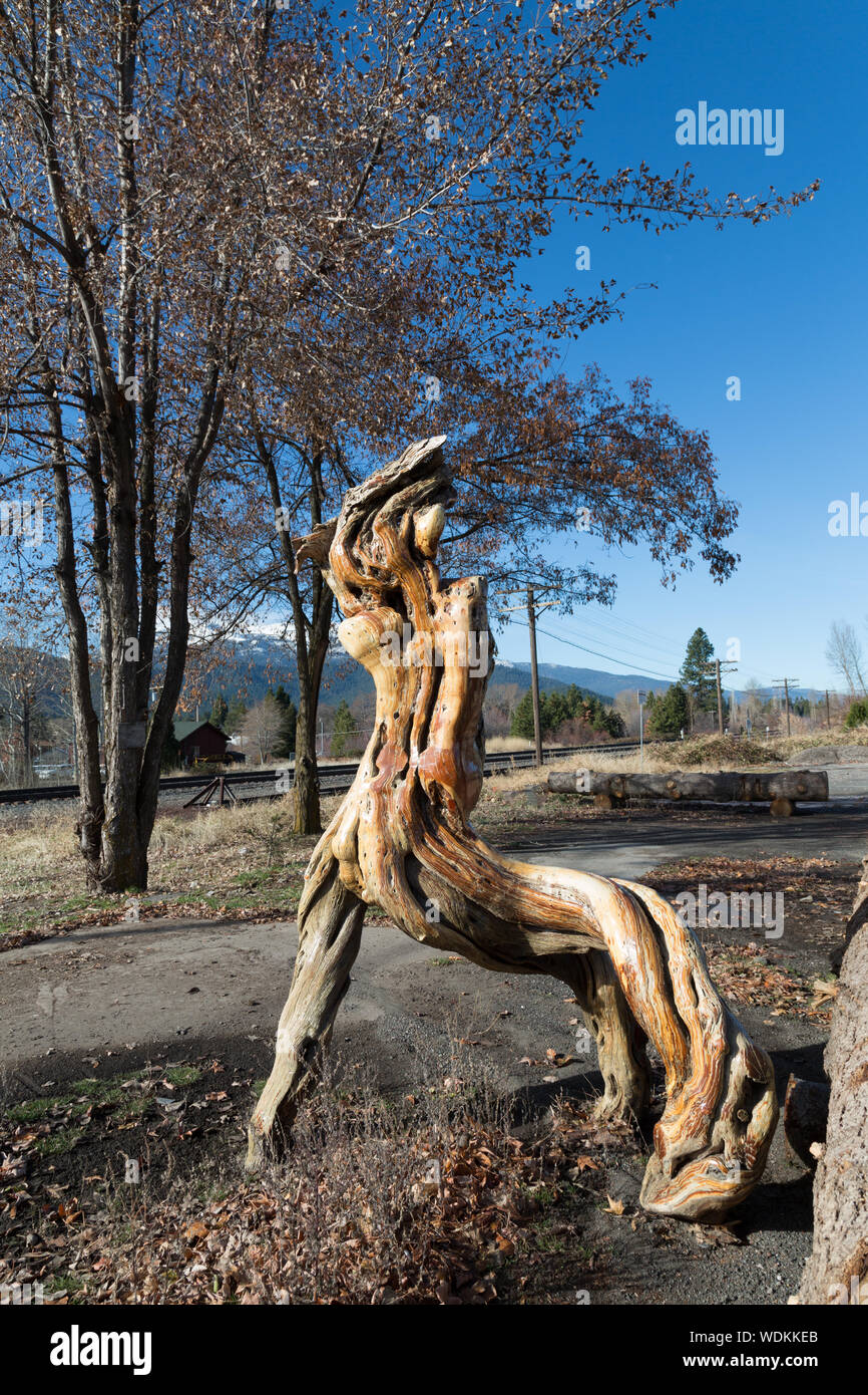 Bois noueux, avec l'apparition de bois flotté, dans un coin de rue de la ville de Mt. Shasta, près de la célèbre montagne du même nom dans le comté de Siskiyou, Californie Banque D'Images
